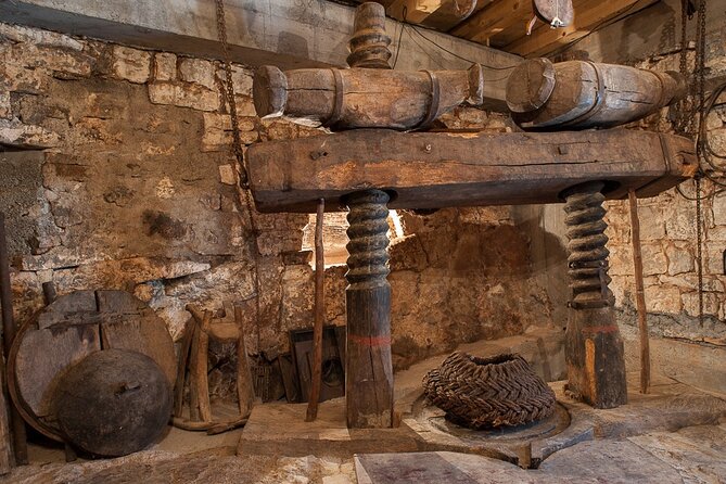 Olive oil farm to fork experience & short walking tour of Kotor - From Kotor’s stone lanes to Lustica’s olive groves
