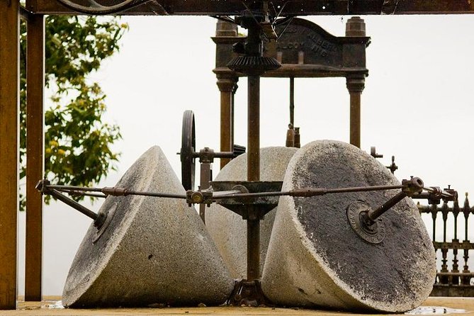 Olive Oil Farm Tour with Tasting from Seville - Who should book this olive oil tour