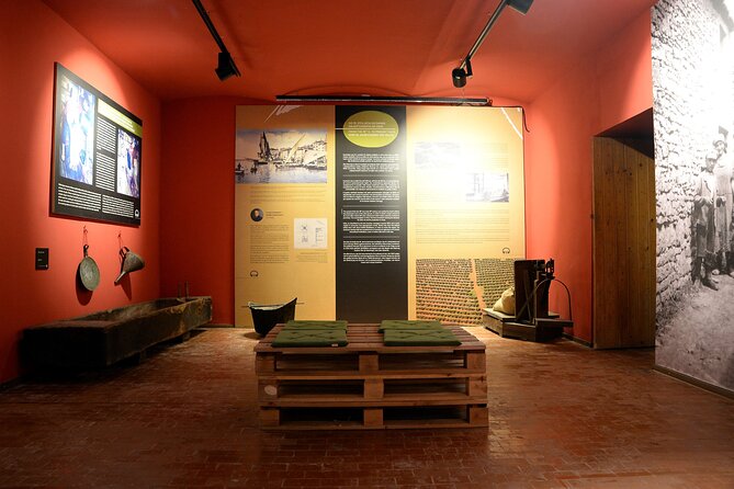 Olive Oil Guided Tasting and History in Pula - Learning to judge extra virgin olive oil