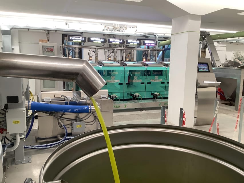 Olive Oil Mill Tour & EVO Oils Tasting - Sarteano, Tuscany - Seeing traditional machines and the milling process