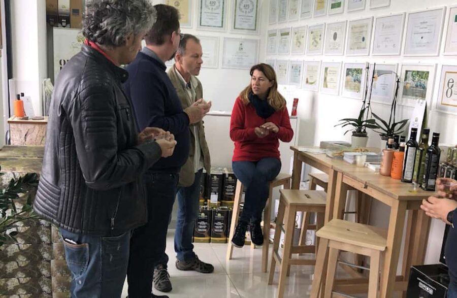 Olive Oil Mill Tour with Tasting near Molfetta & Bari - What this olive mill visit is really about