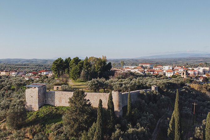Olive oil Mill Visit & Olive oil tasting Experience - Starting among the olive trees and Androusa Castle