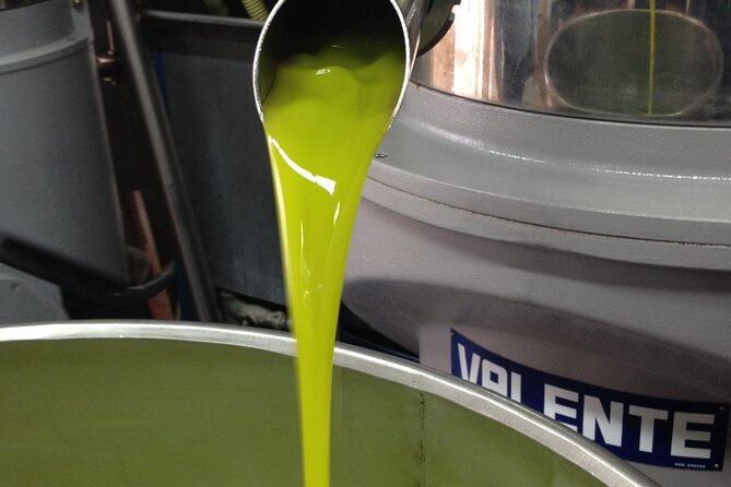 Olive Oil Private Full-Day Tour with Tasting in Valencia - Why this olive oil day is different from a standard tasting