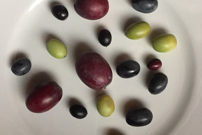 Olive Oil Private Full-Day Tour with Tasting in Valencia - Leaving Valencia for the Castellón olive country