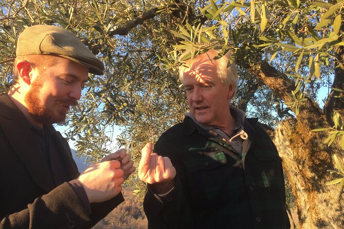 Olive Oil Private Full-Day Tour with Tasting in Valencia - A private day with room for questions
