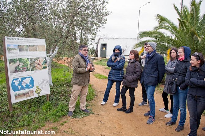Olive Oil Tasting and Culinary Day Trip in Carmona - Leaving Seville in a small group