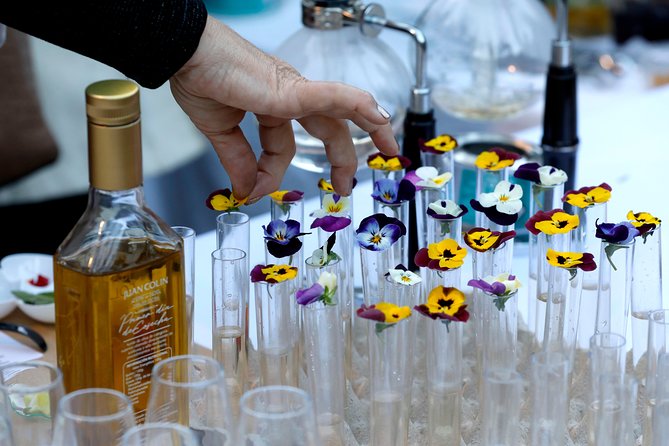Olive Oil tasting breakfast & Tour in Cordoba - Key points to know before booking