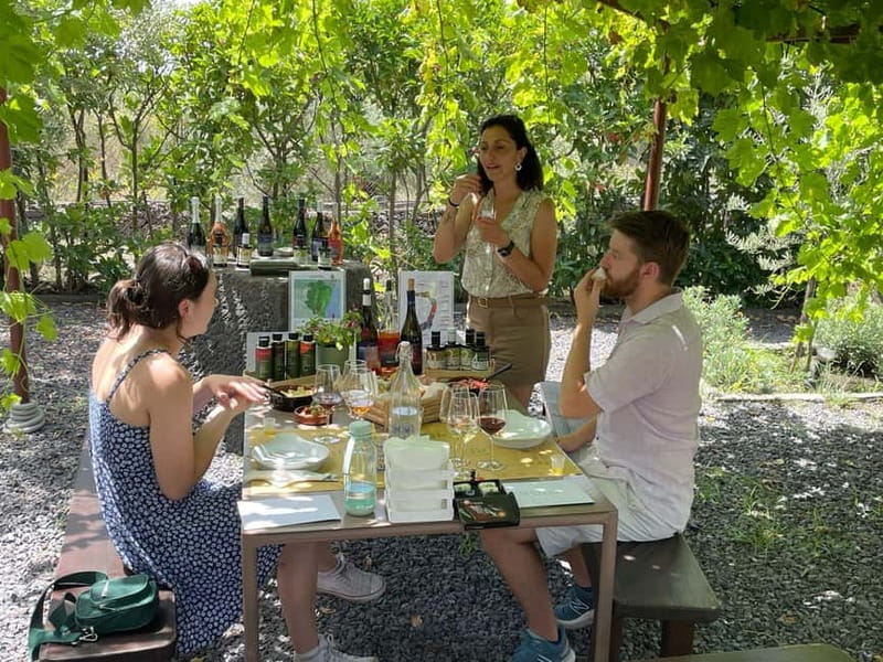 Olive Oil Tasting Experience in Nicolosi - Starting at Serafica Terra di Olio e Vino in Nicolosi