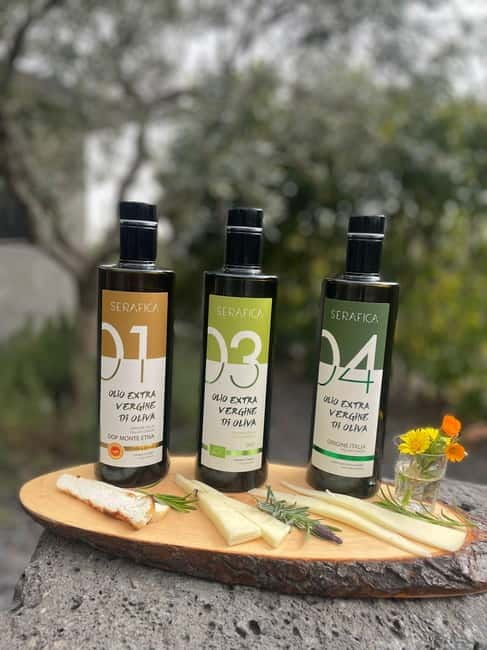 Olive Oil Tasting Experience in Nicolosi - Walking through the vineyard and olive grove