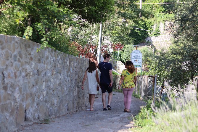 Olive oil tasting in Sorrento - Walking among the groves and old farm buildings