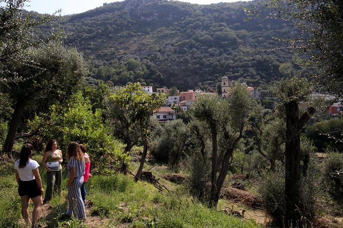 Olive oil tasting in Sorrento - The terrace, wine, and food options