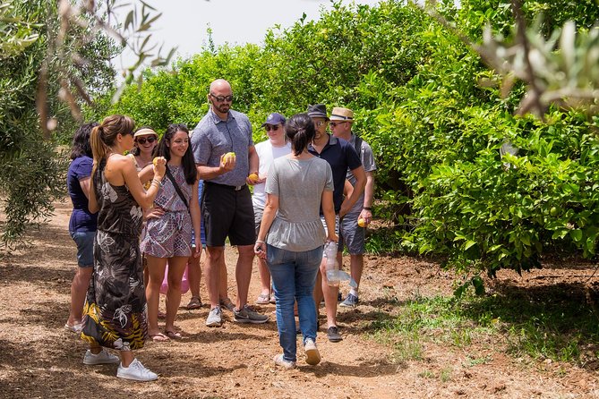 Olive oil tasting in Syracuse, Sicily - Evoo Tour - Why the one-hour length matters
