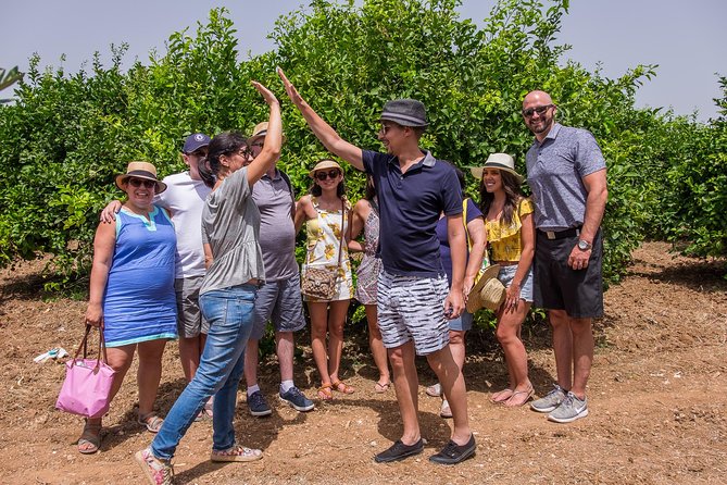 Olive oil tasting in Syracuse, Sicily - Evoo Tour - Is $96.11 a fair price?