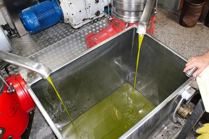 Olive Oil Tasting & Private Chef with Lunch - Tasting local oils, including flavored varieties
