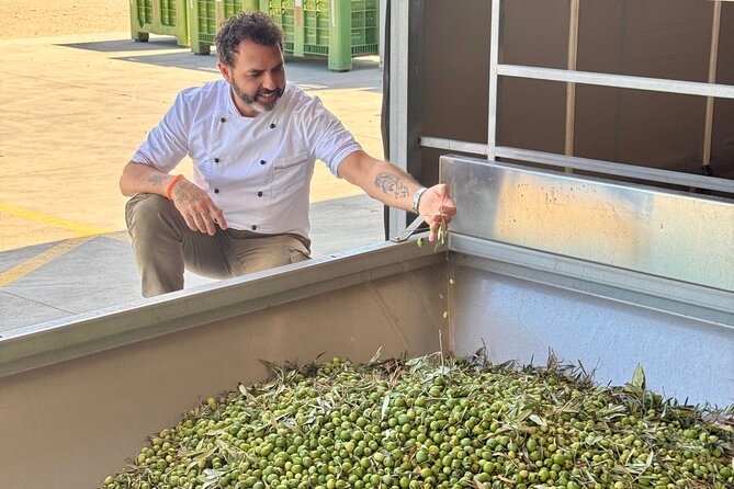 Olive Oil Tasting & Private Chef with Lunch - Timing, pickup, and group size