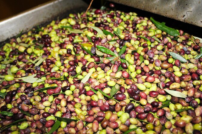 Olive Oil Tasting & Private Chef with Lunch - Small details that can improve your visit