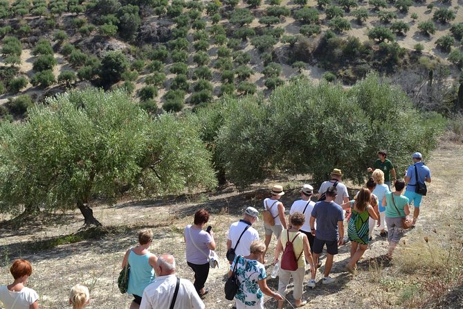 Olive Oil Tasting Tour - What makes the private format worthwhile