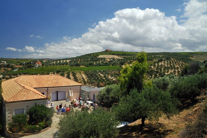 Olive Oil Tasting Tour - Who will enjoy this most