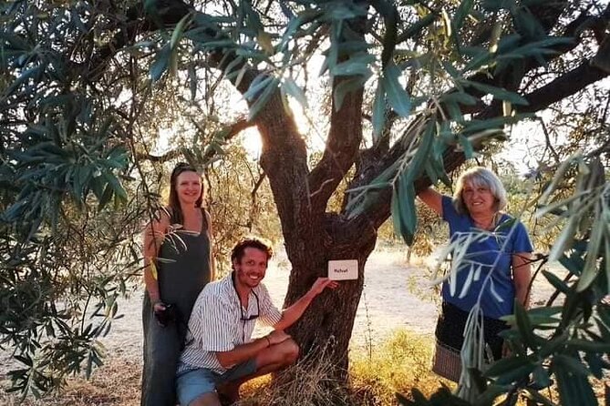 Olive oil tasting with seminar in Metagitsi - Halkidiki - Why olive oil makes sense as a Halkidiki experience