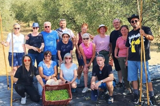 Olive oil tasting with seminar in Metagitsi - Halkidiki - What the certificate and brochure add