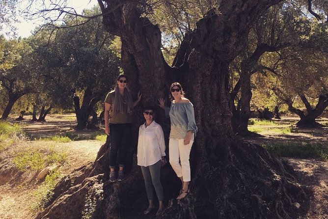 Olive Oil Tour and Visit to Belchite Old Town - Seeing Aragón through its oldest olive trees