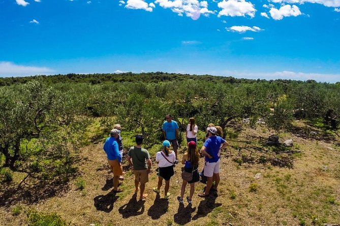 Olive Oil Tour of Solta Island with Lunch - Key points to know before you book