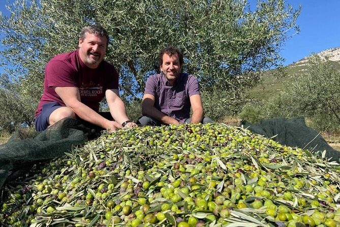Olive Oil Tour & Tasting with sommelier -Kalentzi, Athens daytrip - Pairing olive oil with a small Greek meze
