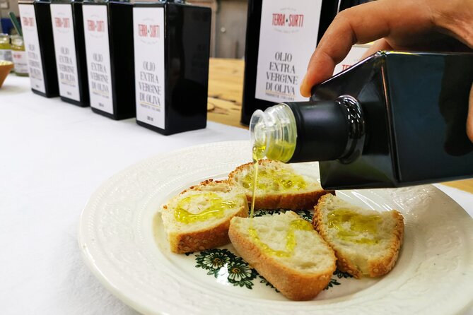Olive Oil Tour Visit to the oil mill and olive oil tasting - Virtual reality under the Sicilian sun