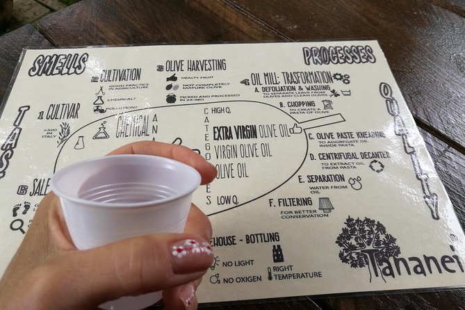 Olive Oil tour with Tuscan dinner - Why the olive oil lesson is the heart of the visit