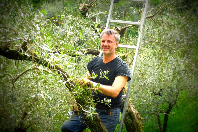 Olive Oil tour with Tuscan dinner - Who will enjoy Agriturismo Tananei most?
