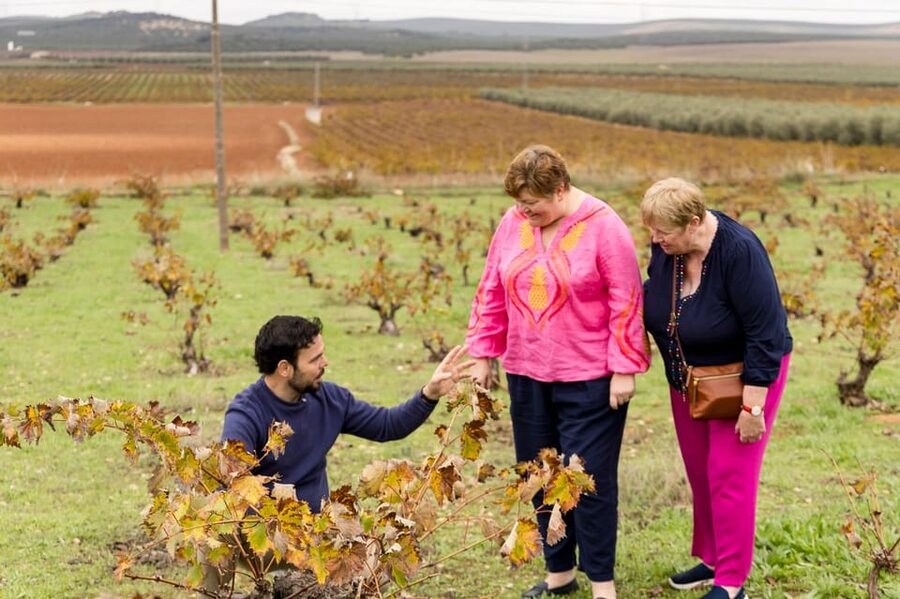 OLIVE OIL & WINE TOUR Organic fields - 5 Wines + 3Olive Oils - Key points at a glance