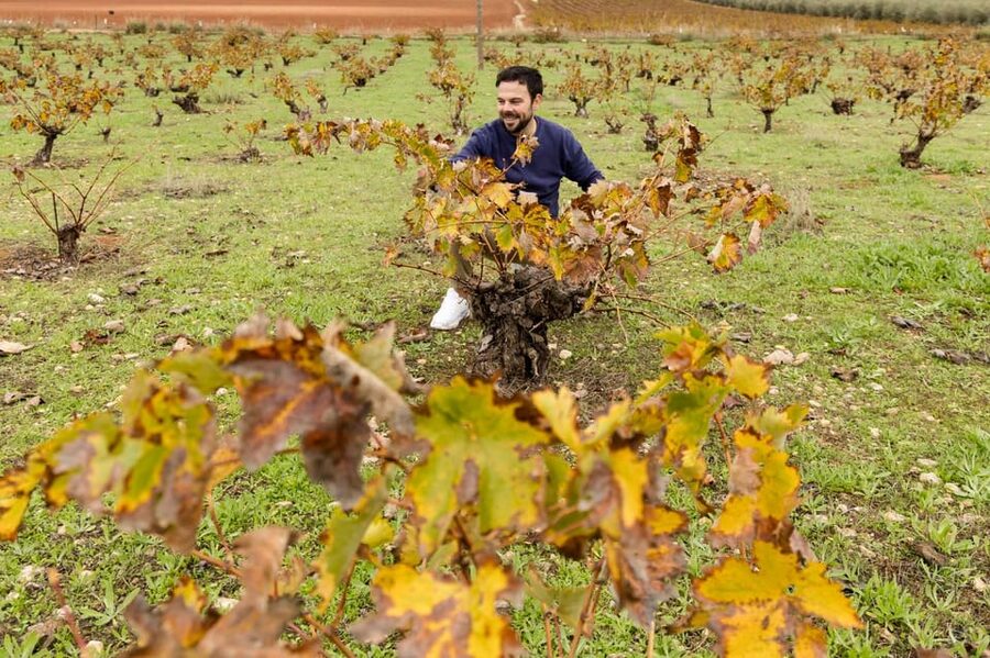 OLIVE OIL & WINE TOUR Organic fields - 5 Wines + 3Olive Oils - Practical details before you book