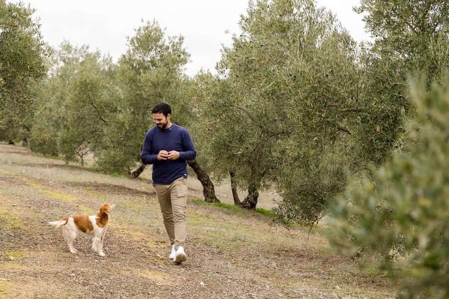 OLIVE OIL & WINE TOUR Organic fields - 5 Wines + 3Olive Oils - Inside a cooperative that still does the work