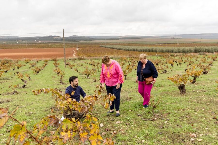 OLIVE OIL & WINE TOUR Organic fields - 5 Wines + 3Olive Oils - Is $108 a fair price?