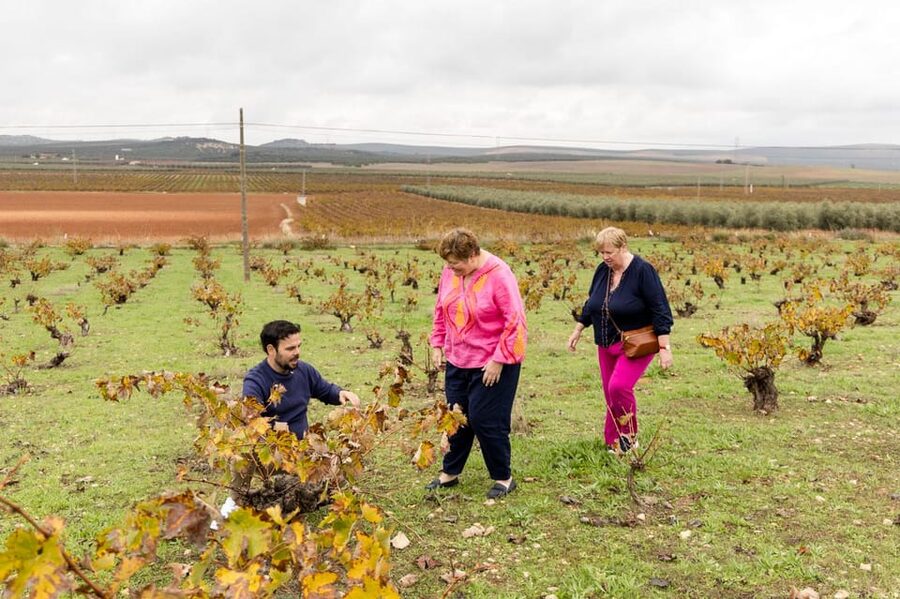 OLIVE OIL & WINE TOUR Organic fields - 5 Wines + 3Olive Oils - Who should book this experience?