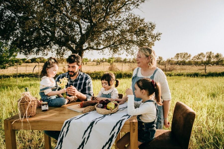 Olive plant and mill visit and tasting - Key points to know before you book