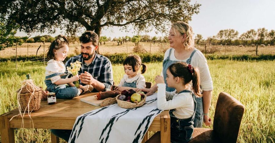 Olive plant and mill visit and tasting - Is $112 a fair price?