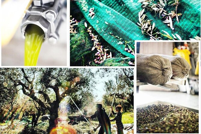 Olive Tour & Tasting - Souvenirs and local products to take home