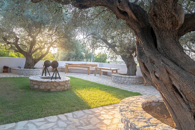 Olive Tour & Tasting - The olive oil tasting is the heart of the experience