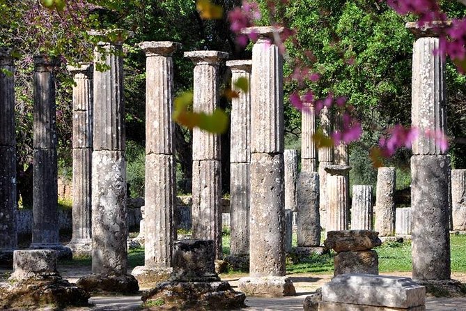 Olympia Shore Ex: Olympic site, Honey Farm & Olive Oil Tasting - What you see inside the archaeological park