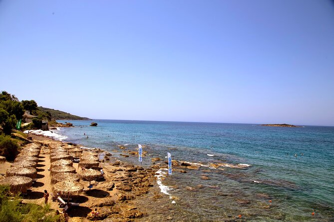 Olympia shore Excursion - 4 hour tour (Olympia, Olive press, Beach) - The olive press: a useful taste of modern Greece