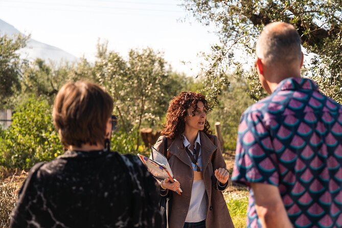 Organic Olive Grove tour & Olive oil tasting & lunch in Kalamata! - Walking through an organic grove near Kalamata