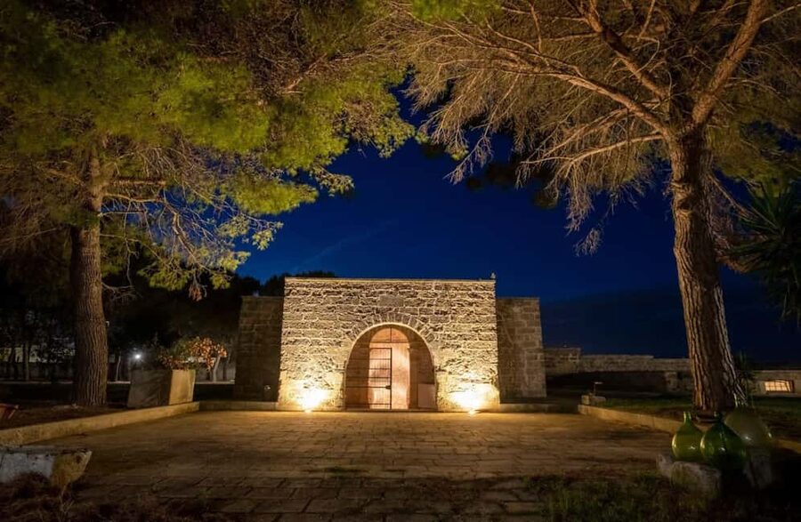 Organic Wine and Olive Oil Tasting Experience near Lecce - Olive oil, taralli, and the value of a simple pairing