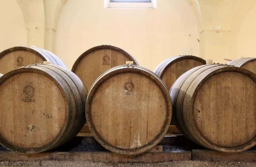 Organic Wine and Olive Oil Tasting Experience near Lecce - How to fit this into a day near Lecce