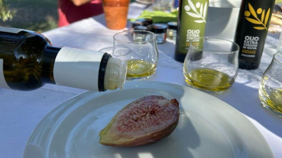 Oristano: Olive Tree Grove Guided Visit with Tasting - Finding the rural meeting point