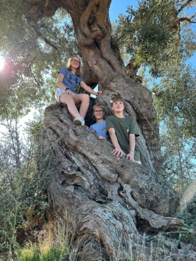 E-bike Tour, Ancient Olive Trees & Oil Tasting