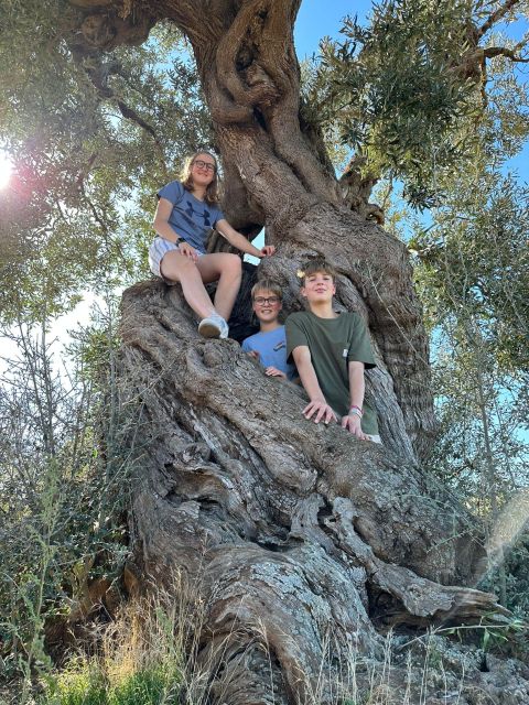 Ostuni: E-bike Tour, Ancient Olive Trees & Oil Tasting - A gentle ride through the Coastal Dunes Regional Park