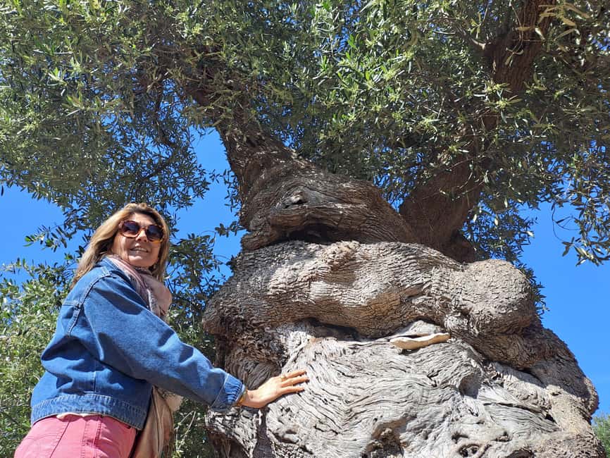 Ostuni: Guided e-bike tour to rock village & olive trees - Returning through Ostuni’s White City