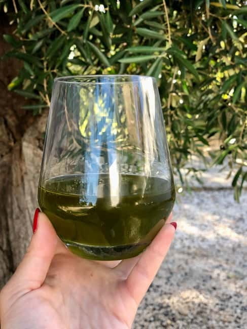 Ostuni: Masseria tour among thousand-year-old olive trees with oil tasting - How this fits into an Ostuni day