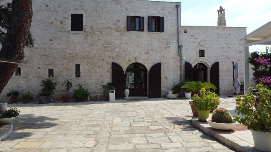 Ostuni: Olive Oil Tasting Tour - The 19th-century epigean mill and changing production methods